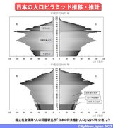 人口ピラミッド推移