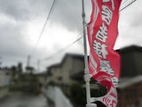 ReportsIMG_I20161124205604.JPG