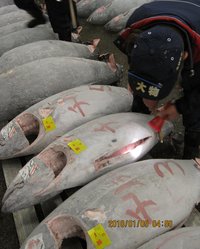 ReportsIMG_J20110503011931.jpg