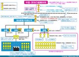 深圳拠点組織図