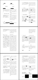 オファーレター掲載用統合
